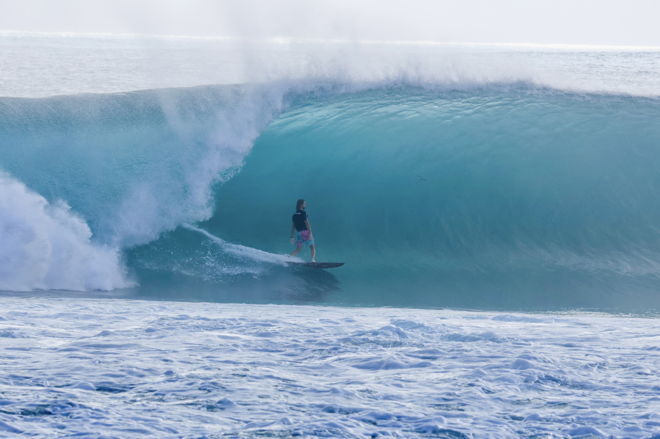 【本物】Formura Energy - Dave Rastovich Dave Richards, Bluebird Turf/Versatran Team Confident Heading Into