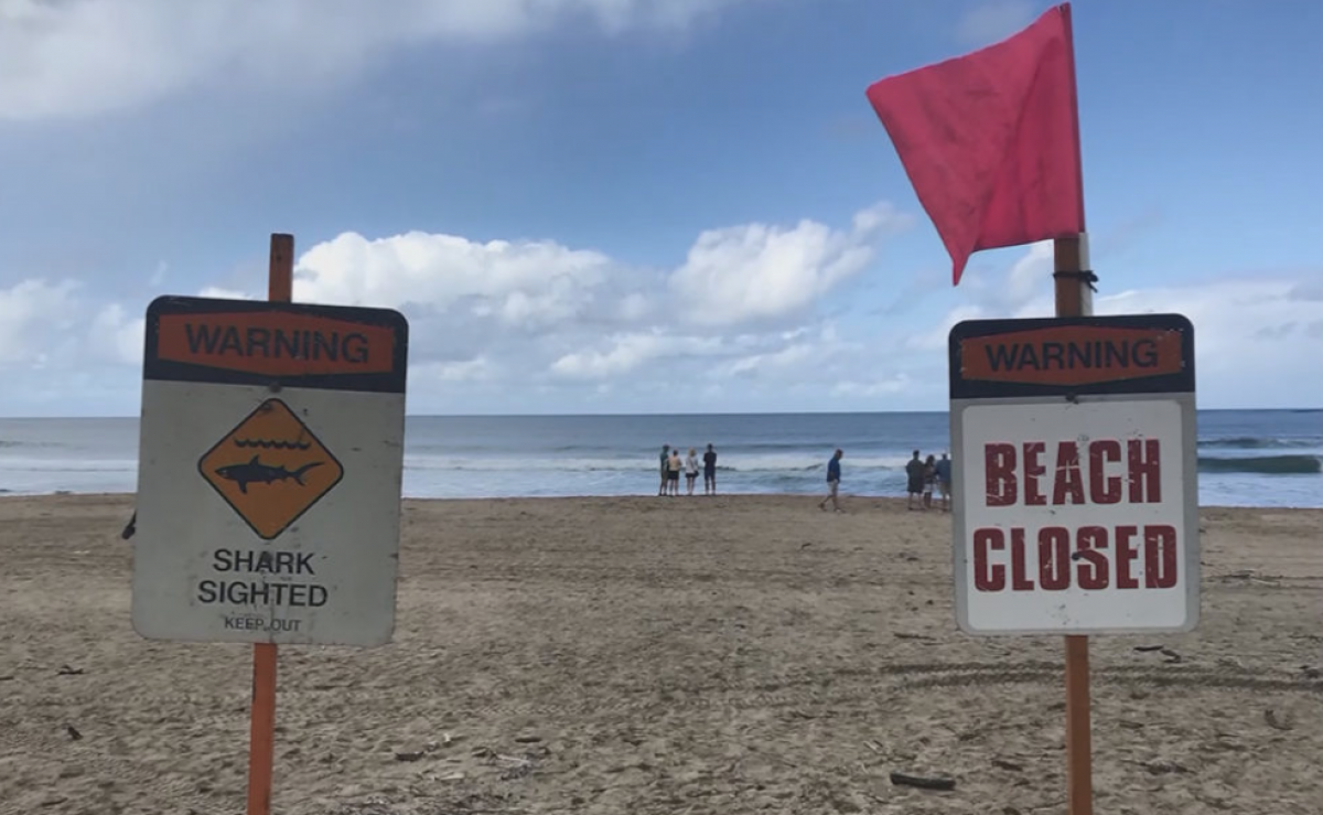 Почему закрыты пляжи. Пляжи закрыты. Пляж закрыт. Пляж закрыт табличка. Купаться запрещено акулы.