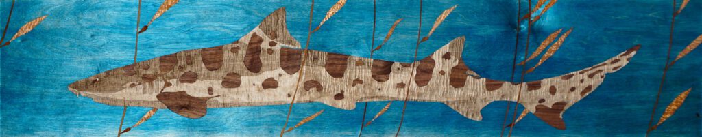 Shark on wood using marquetry techniques. 