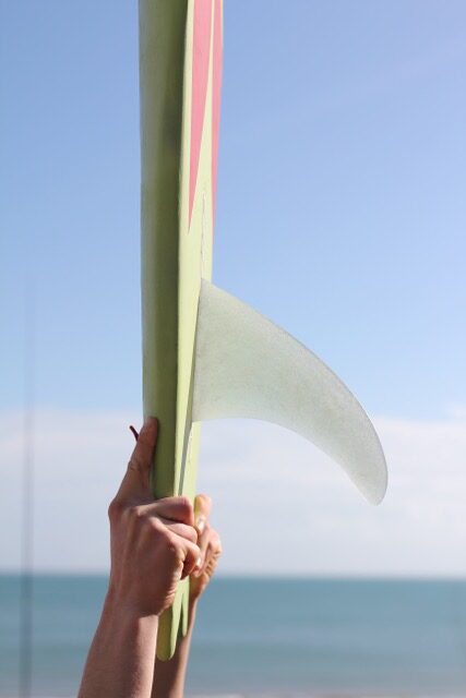 sea lettuce surfboard