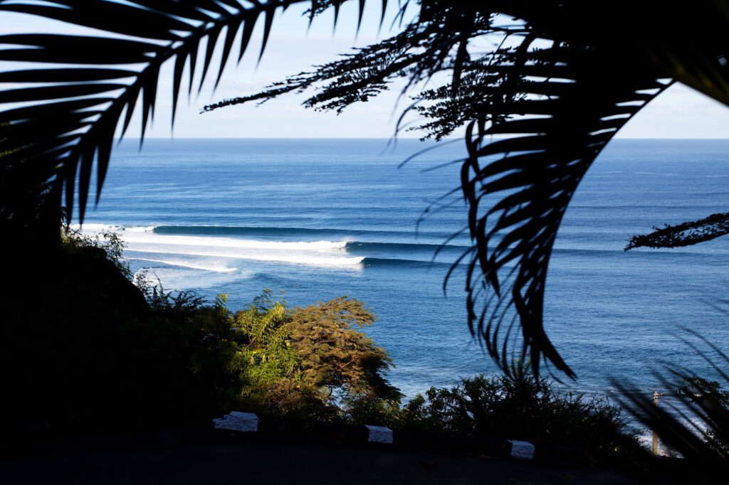 Just like Surfline, but for galeophobics.