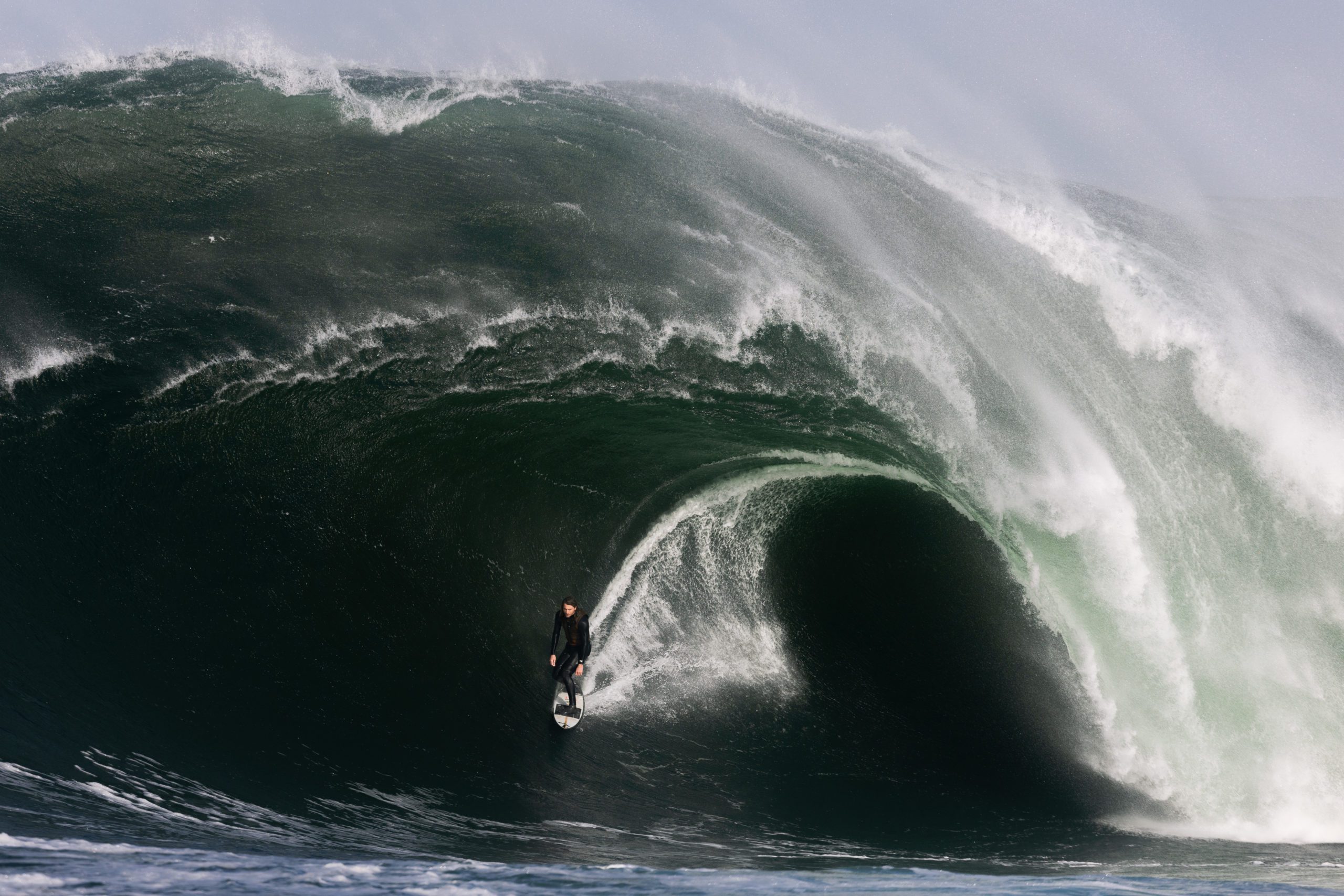 Surfing Gets Its Very Own Reality TV Show - Stab Mag